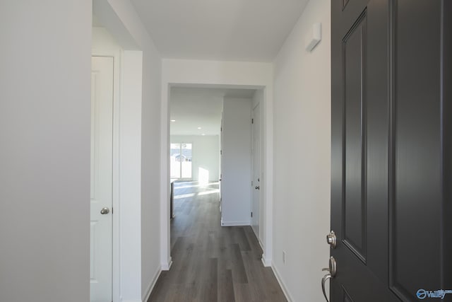 corridor with hardwood / wood-style floors