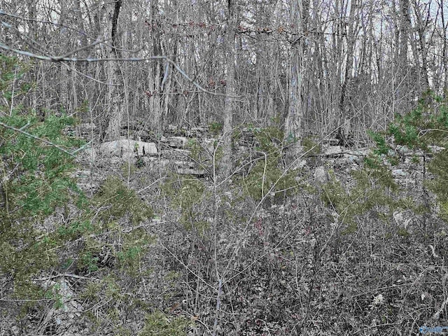 Listing photo 2 for 74ACRES1 Wesley Childers Rd, New Hope AL 35760