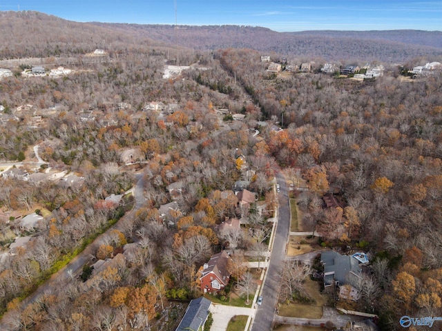 birds eye view of property with a mountain view