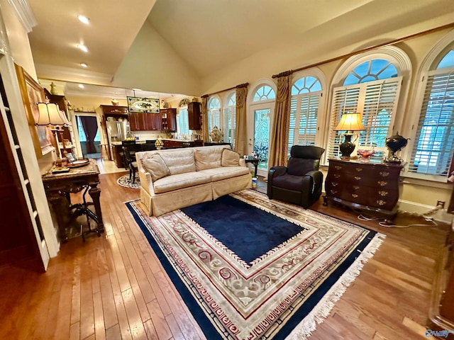 living room featuring high vaulted ceiling and hardwood / wood-style flooring