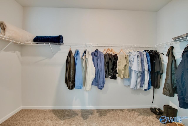 spacious closet featuring carpet flooring