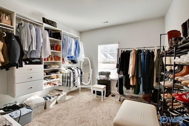 spacious closet with carpet floors