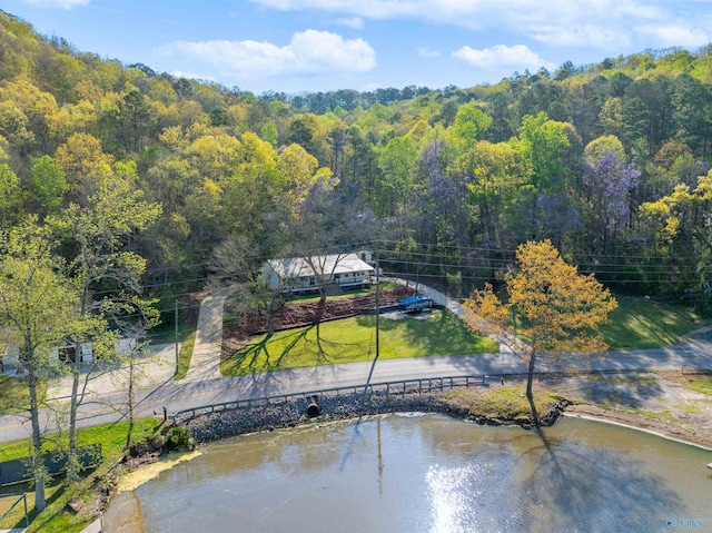 251 Riddles Bend Rd, Rainbow City, AL 35906 - bird's eye view with a water view and a wooded view