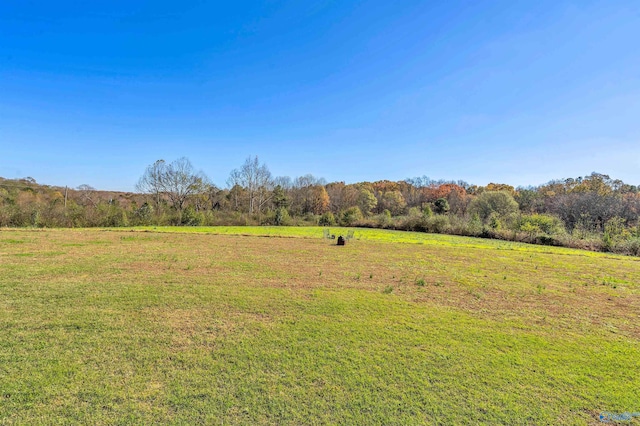 view of yard with a rural view