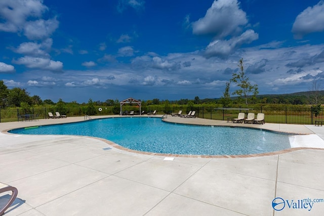 view of pool featuring a patio area