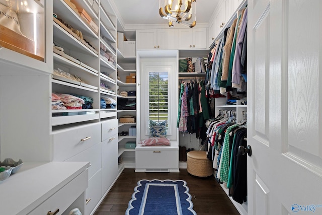 1176 N Lake Forest Dr, Southside, AL 35907 - walk in closet with a chandelier and dark wood-style flooring