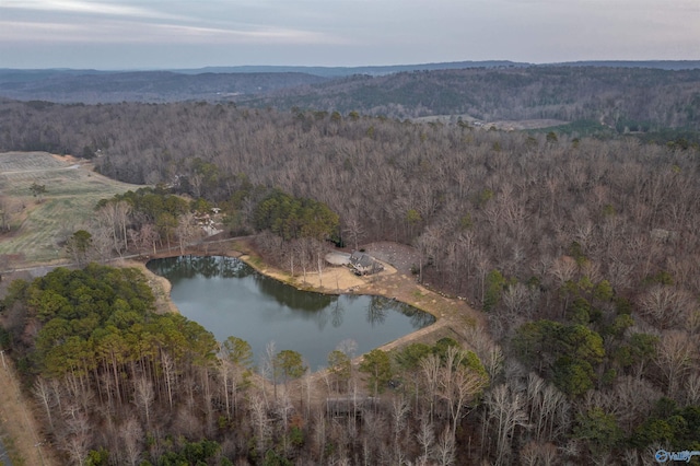 birds eye view of property featuring a water view and a view of trees