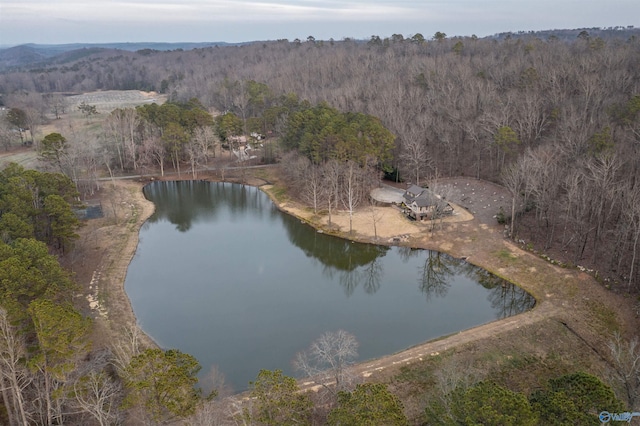 bird's eye view featuring a wooded view and a water view