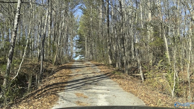 view of road