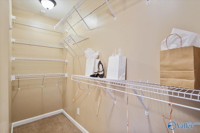 210 Spring Valley Ct SW, Huntsville, AL 35802 - walk in closet featuring carpet floors