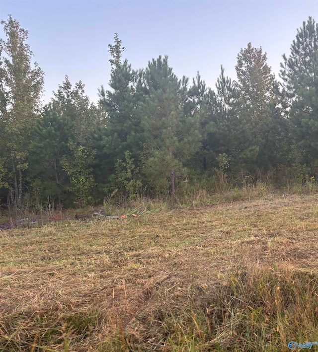 9405 US Highway 411 N, Centre AL, 35960 land for sale