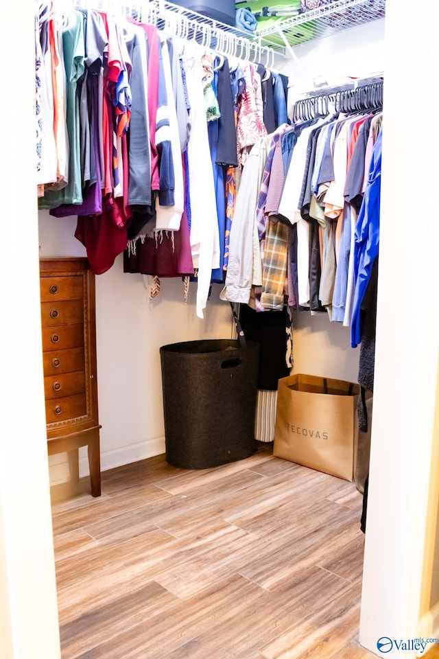 1508 Berrivine Dr, Hartselle, AL 35640 - walk in closet featuring wood finished floors