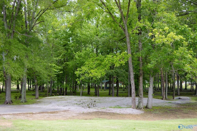 1508 Berrivine Dr, Hartselle, AL 35640 - view of home's community