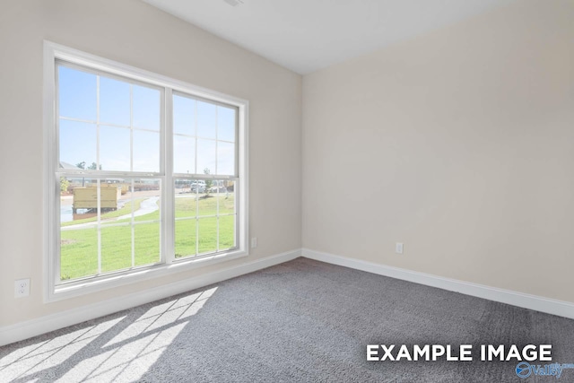 unfurnished room with a healthy amount of sunlight and carpet flooring