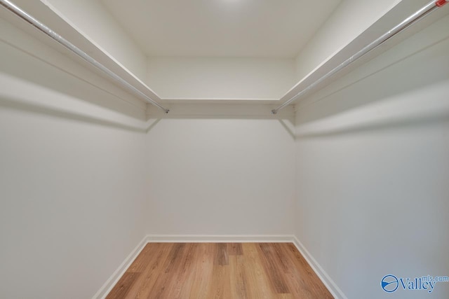 walk in closet featuring light wood-style floors
