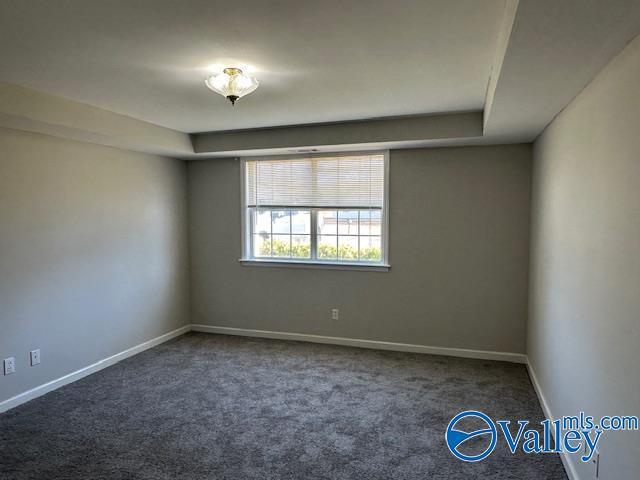 spare room with carpet floors