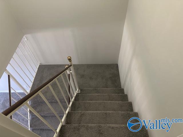 staircase featuring carpet flooring