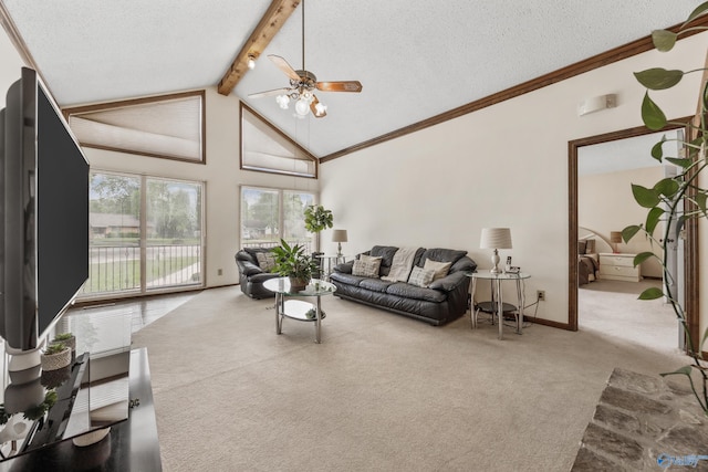 2009 Rangewood Cir, Huntsville, AL 35803 - living area featuring ceiling fan, carpet flooring, and a textured ceiling