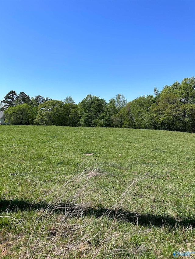 75ACRES Upper Fort Hampton Rd, Elkmont AL, 35620 land for sale