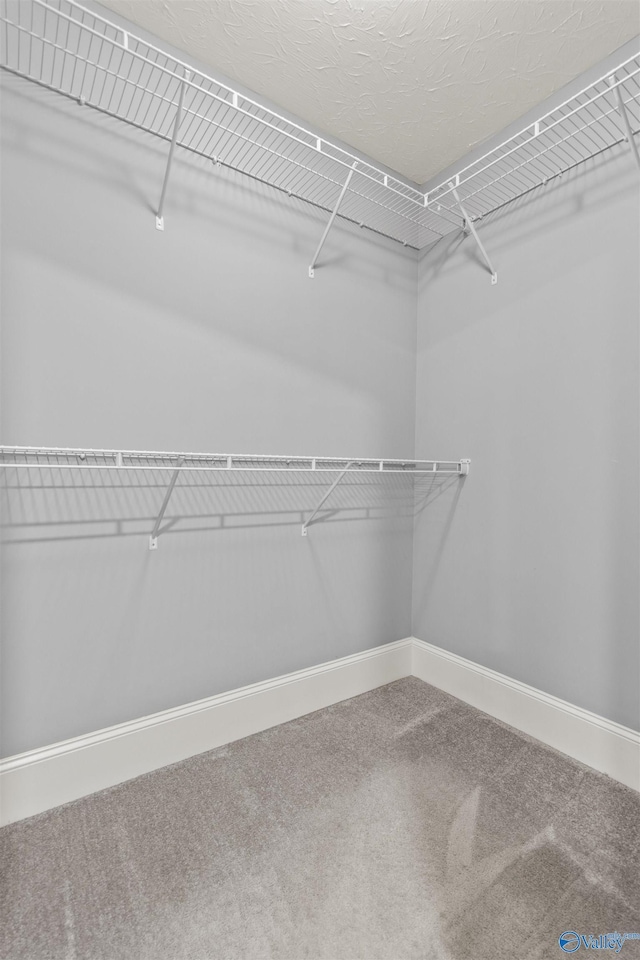 18226 Whitetail Ln, Athens, AL 35613 - walk in closet featuring carpet flooring