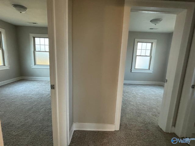 hallway featuring baseboards, carpet floors, and a healthy amount of sunlight