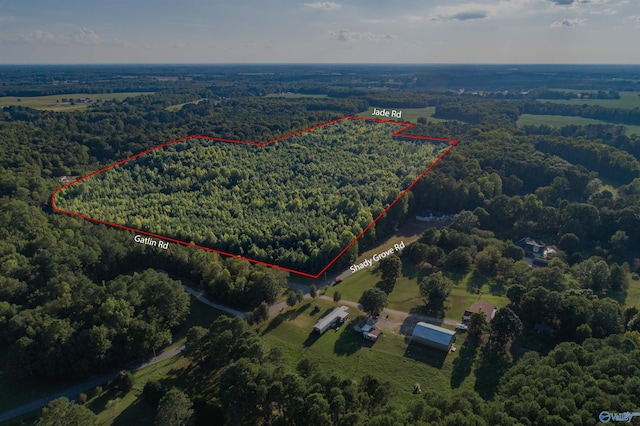 58ACRES Jade Rd, Toney AL, 35773 land for sale