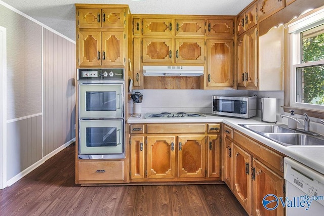 3392 Williams St, Hokes Bluff, AL 35903 - kitchen featuring stainless steel appliances, under cabinet range hood, dark wood-style flooring, light countertops, and ornamental molding