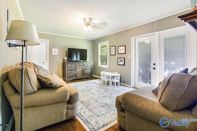 3392 Williams St, Hokes Bluff, AL 35903 - living area featuring crown molding, wood finished floors, ceiling fan, a textured ceiling, and wooden walls