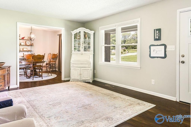3392 Williams St, Hokes Bluff, AL 35903 - entryway featuring dark wood-type flooring and a textured ceiling