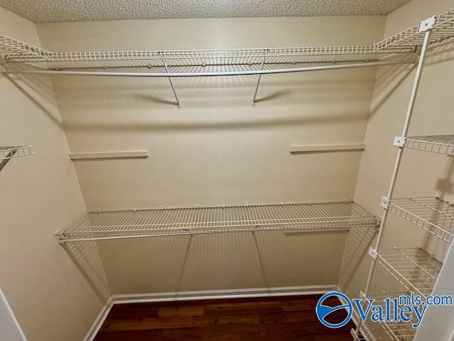 spacious closet featuring dark hardwood / wood-style floors