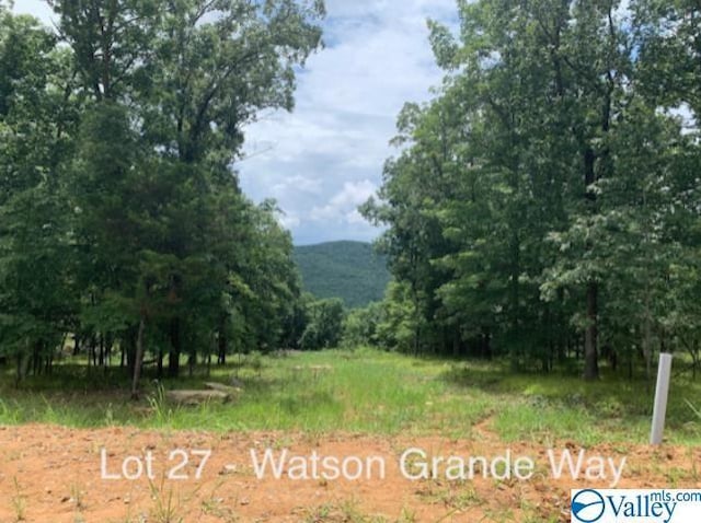 53 Watson Grande Way, Owens Cross Roads AL, 35763 land for sale