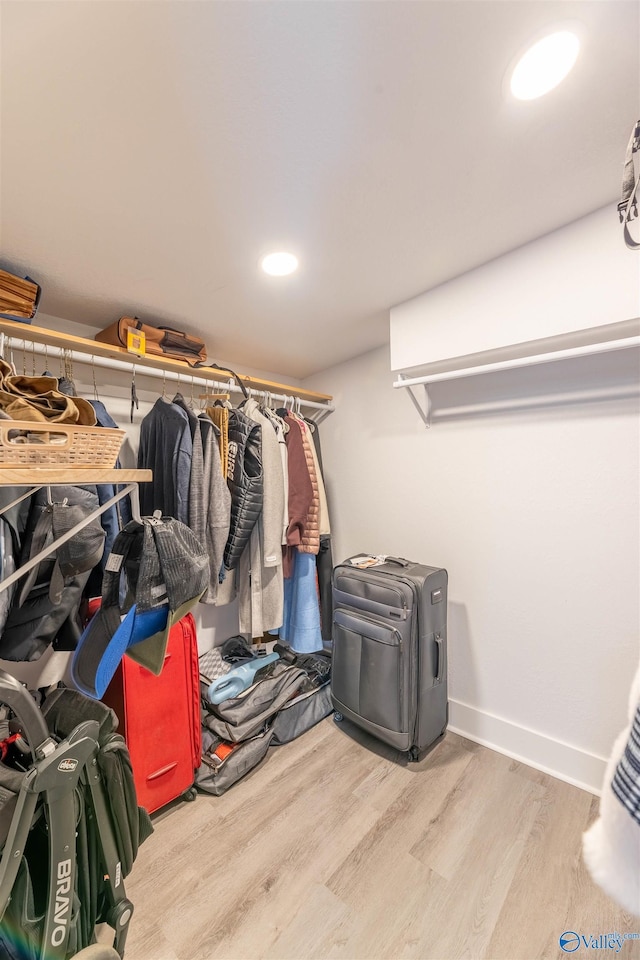 spacious closet featuring wood-type flooring