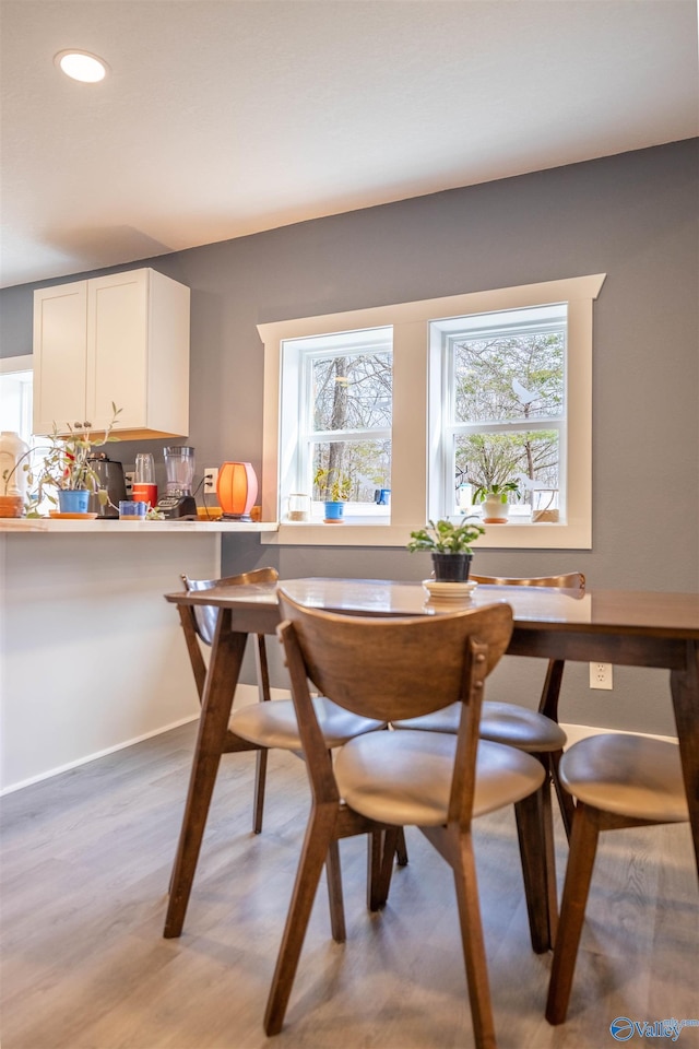 dining space featuring a wealth of natural light and light hardwood / wood-style flooring