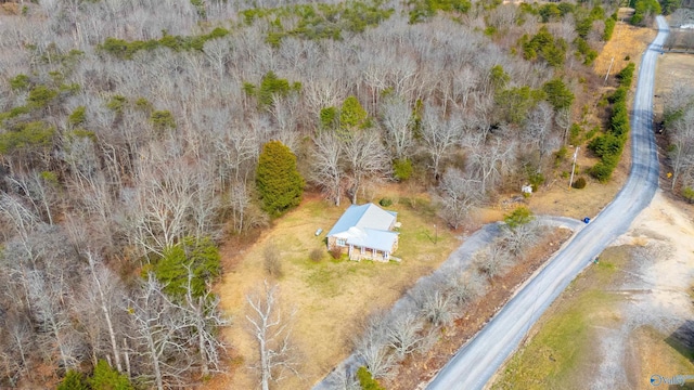 drone / aerial view