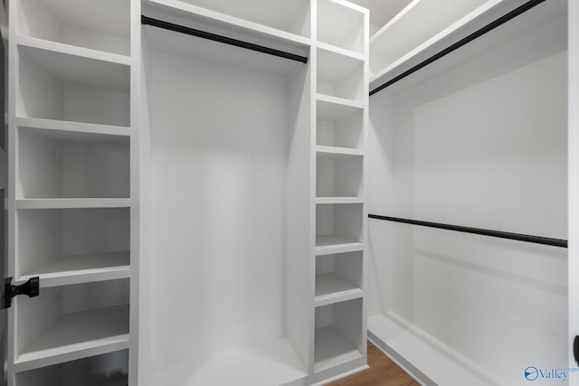 spacious closet featuring dark wood finished floors