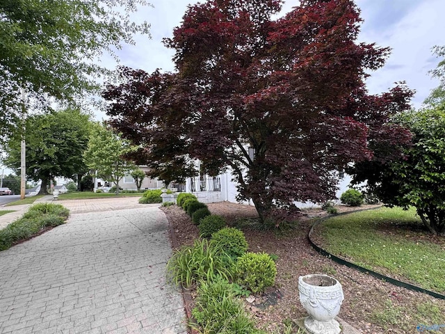 102 Jackson St, Albertville, AL 35950 - view of front of house