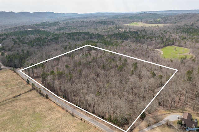 drone / aerial view with a mountain view and a view of trees