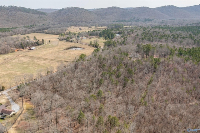 property view of mountains with a rural view