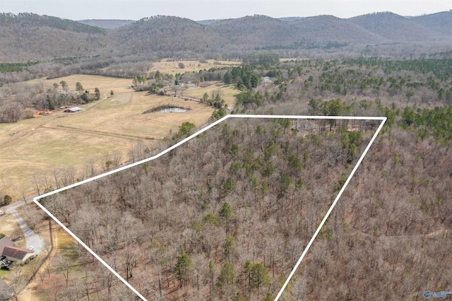 aerial view featuring a mountain view and a rural view