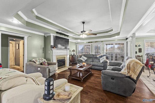 living room featuring dark wood-type flooring, a healthy amount of sunlight, and a tray ceiling