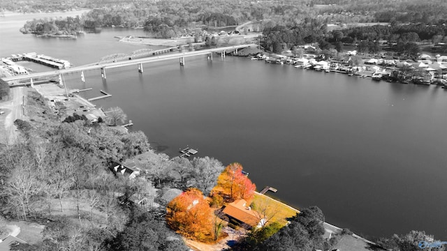 birds eye view of property featuring a water view