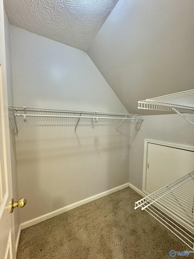 spacious closet featuring vaulted ceiling and carpet