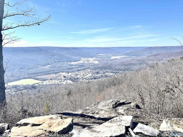 59 Crockett Pointe, Jasper, TN 37347