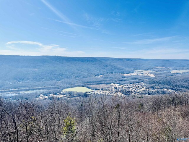 59 Crockett Pointe, Jasper, TN 37347