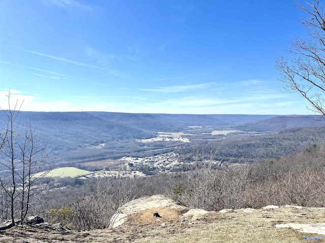 59 Crockett Pointe, Jasper, TN 37347
