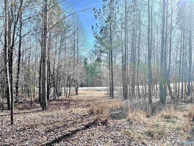 59 Crockett Pointe, Jasper, TN 37347