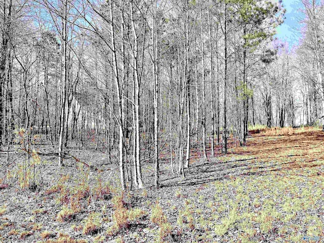 59 Crockett Pointe, Jasper, TN 37347