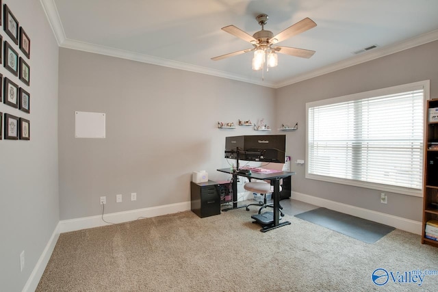 office with ceiling fan, ornamental molding, and carpet floors