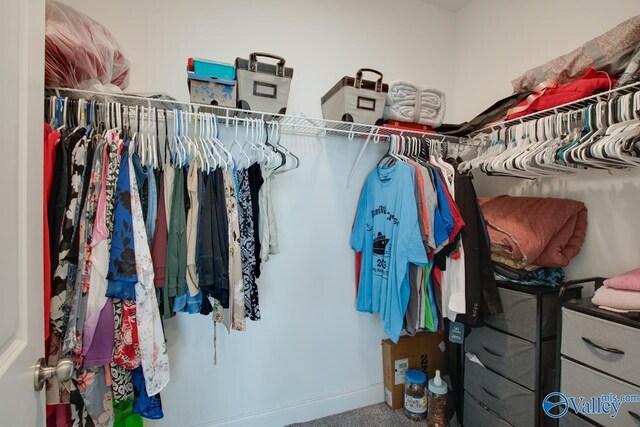 walk in closet with carpet flooring