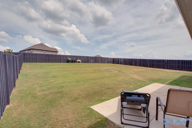 view of yard featuring a patio area